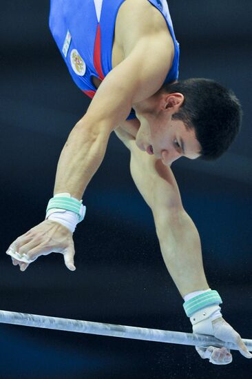 World Artistic Gymnastics Championships. Day Six