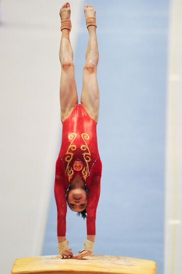 2011 World Artistic Gymnastics Championships. Day 7