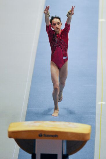 2011 World Artistic Gymnastics Championships. Day 7