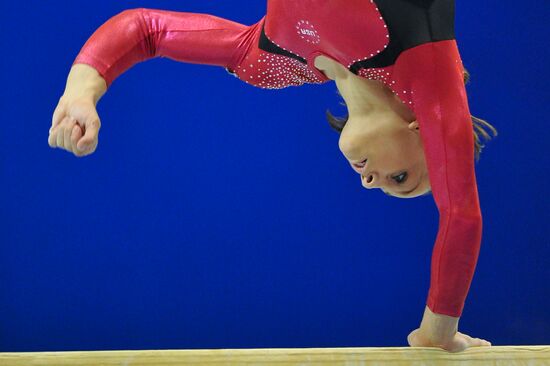 2011 World Artistic Gymnastics Championships. Day 7