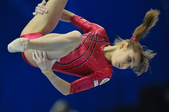 2011 World Artistic Gymnastics Championships. Day 7