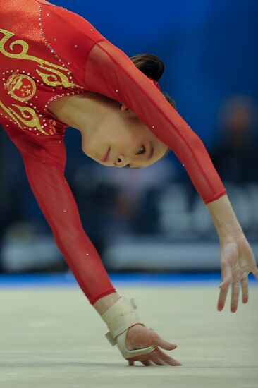 2011 World Artistic Gymnastics Championships. Day 7