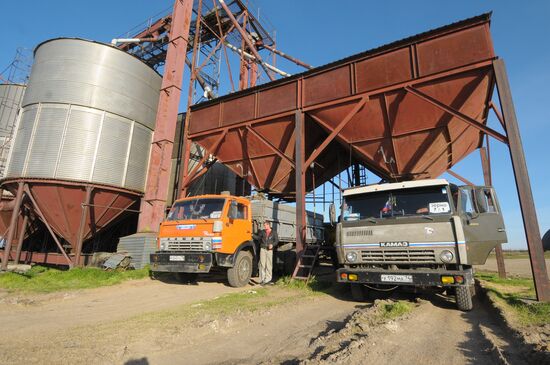 Work at Peter and Paul grain complex