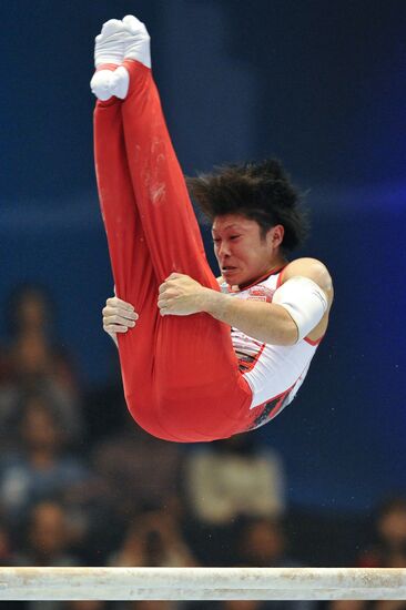World Artistic Gymnastics Championships. Day Eight