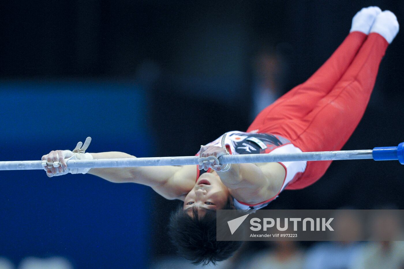 World Artistic Gymnastics Championships. Day Eight