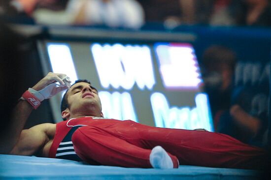 World Artistic Gymnastics Championships. Day Eight