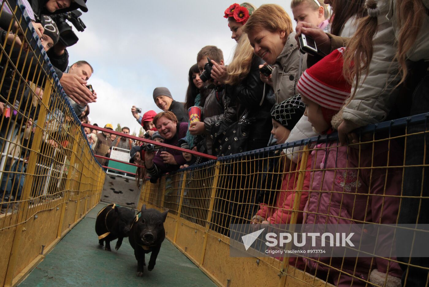 Pork festival in Mirgorod, Poltava Region