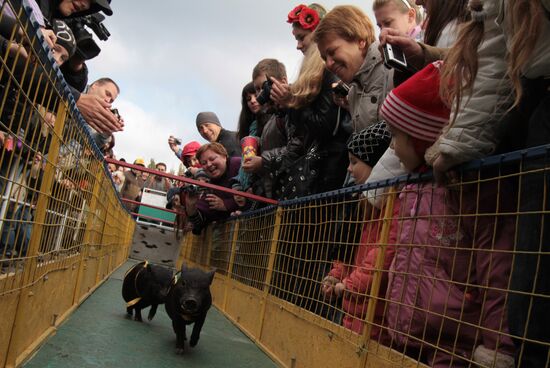 Pork festival in Mirgorod, Poltava Region