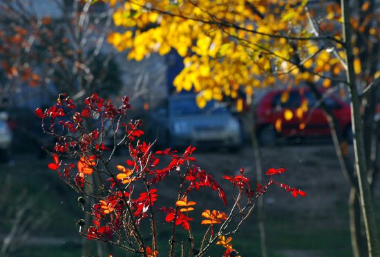 Cities of Russia. Valdai