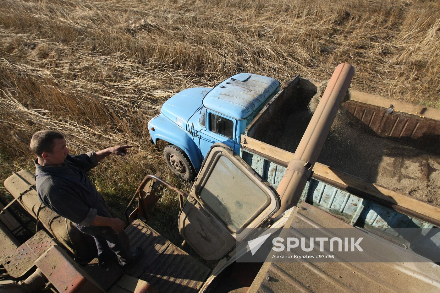 Non-narcotic hemp cultivation in Novosibirsk region