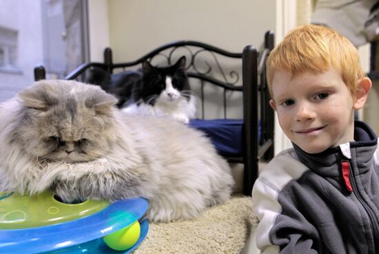Republic of Cats Cafe opened in St Petersburg