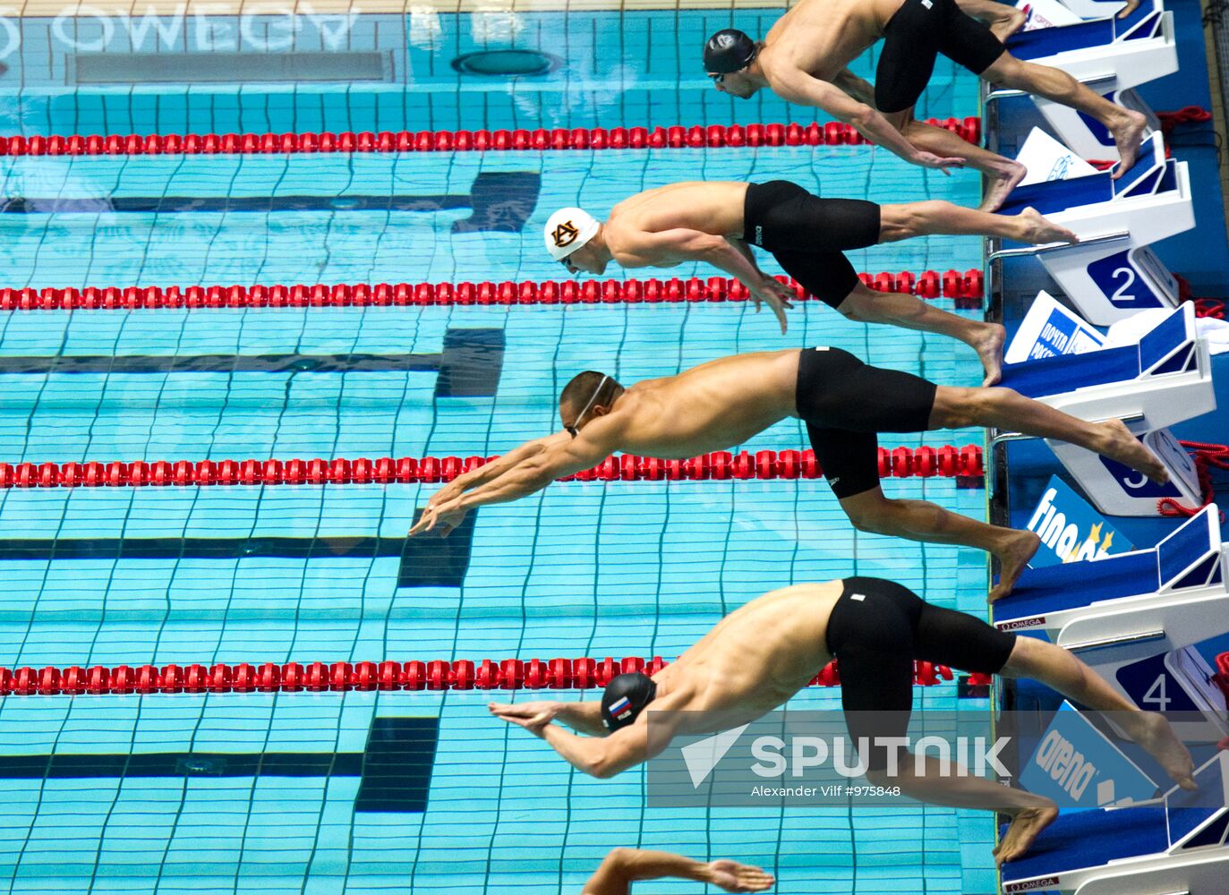 2011 World Swimming Cup Third round. Finals