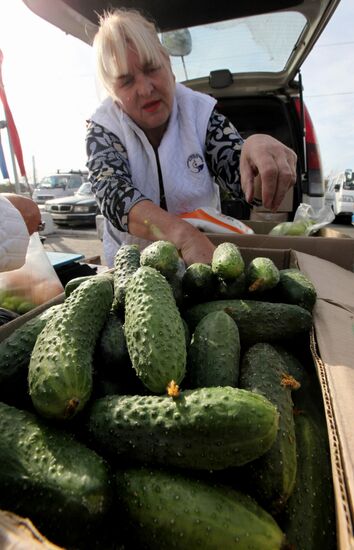 Food fair in Vladivostok