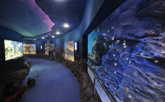 Moscow Oceanarium prepares for opening