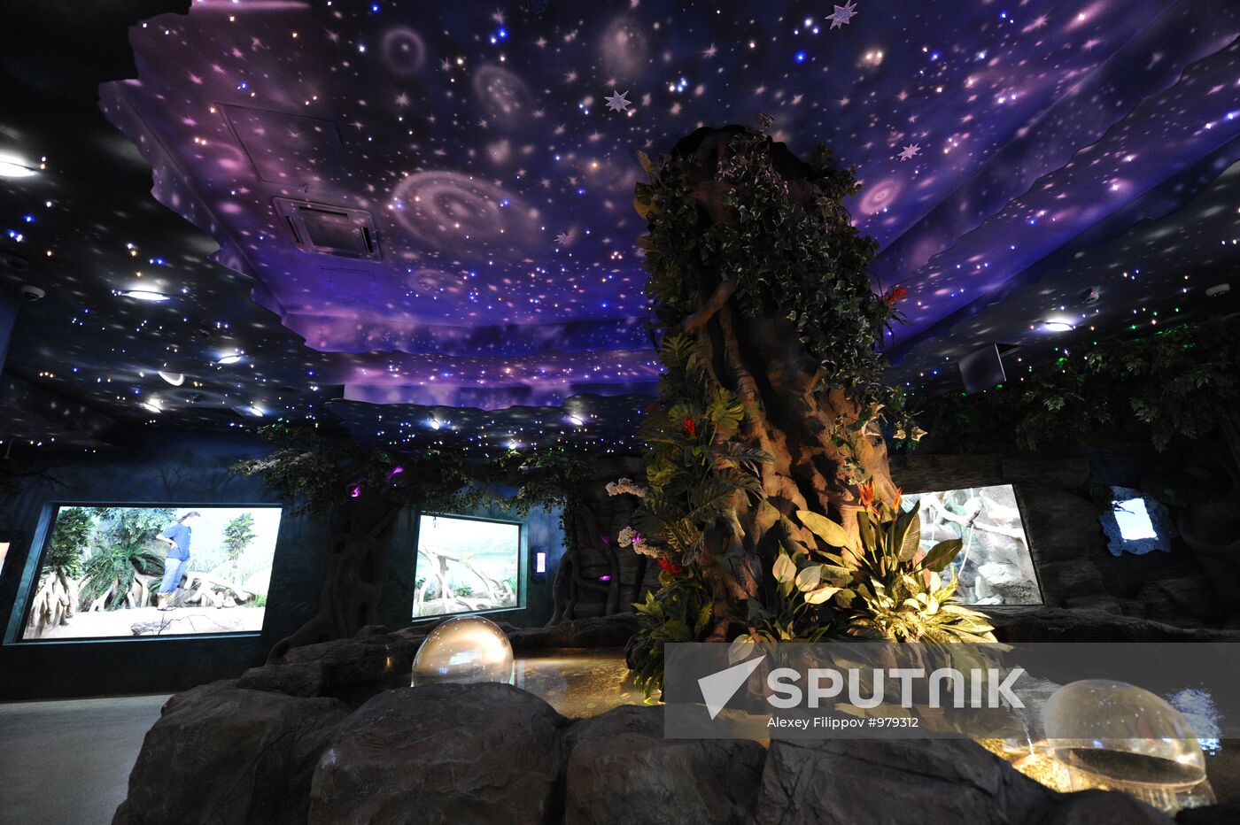 Moscow Oceanarium prepares for opening