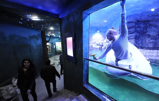 Moscow Oceanarium prepares for opening