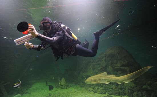 Moscow Oceanarium prepares for opening