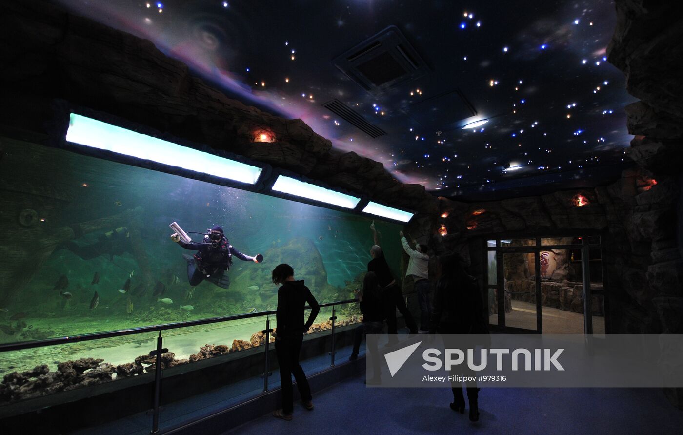 Moscow Oceanarium prepares for opening