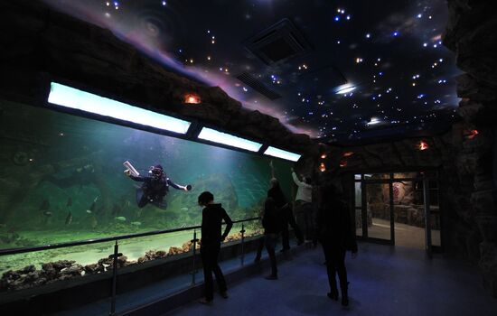 Moscow Oceanarium prepares for opening