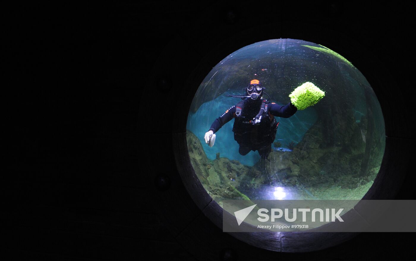 Moscow Oceanarium prepares for opening