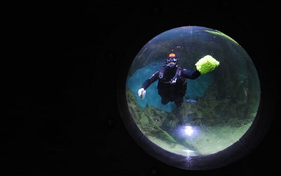 Moscow Oceanarium prepares for opening