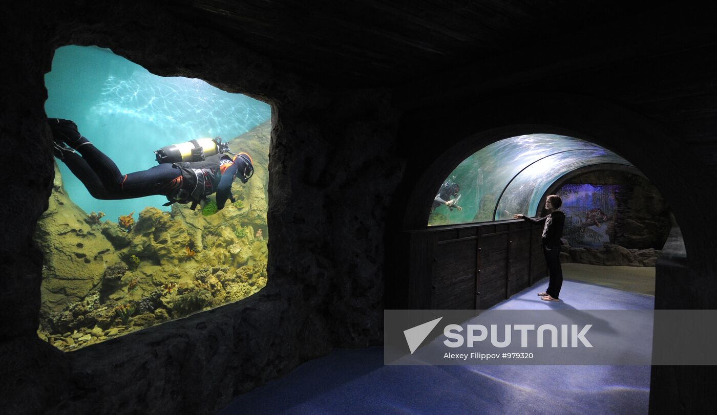 Moscow Oceanarium prepares for opening