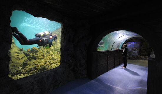 Moscow Oceanarium prepares for opening