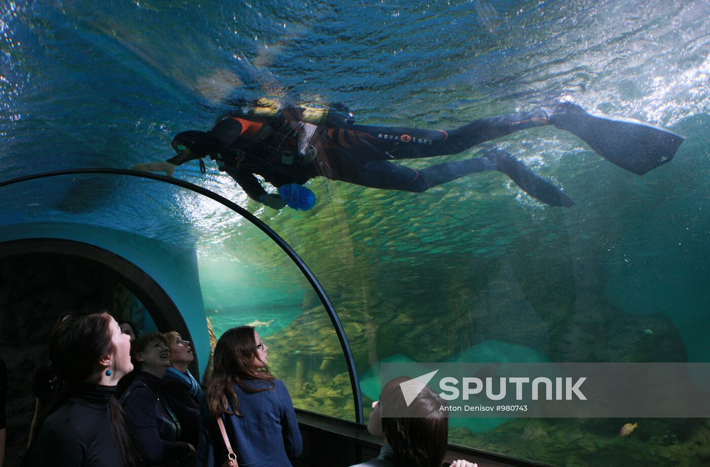 Moscow Aquarium opens