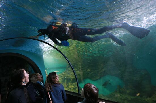Moscow Aquarium opens