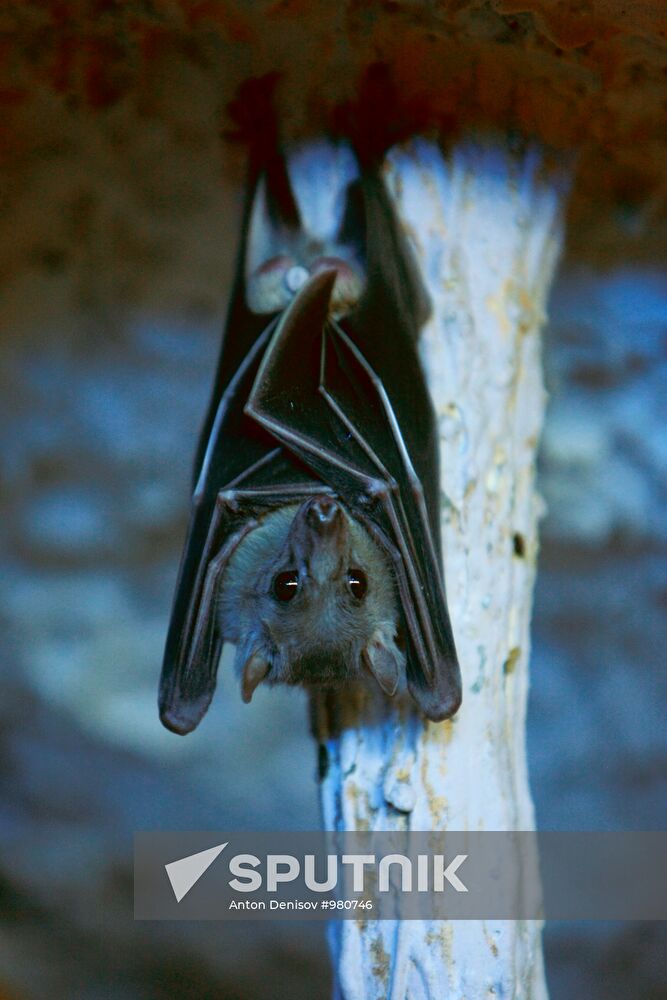 Moscow Aquarium opens