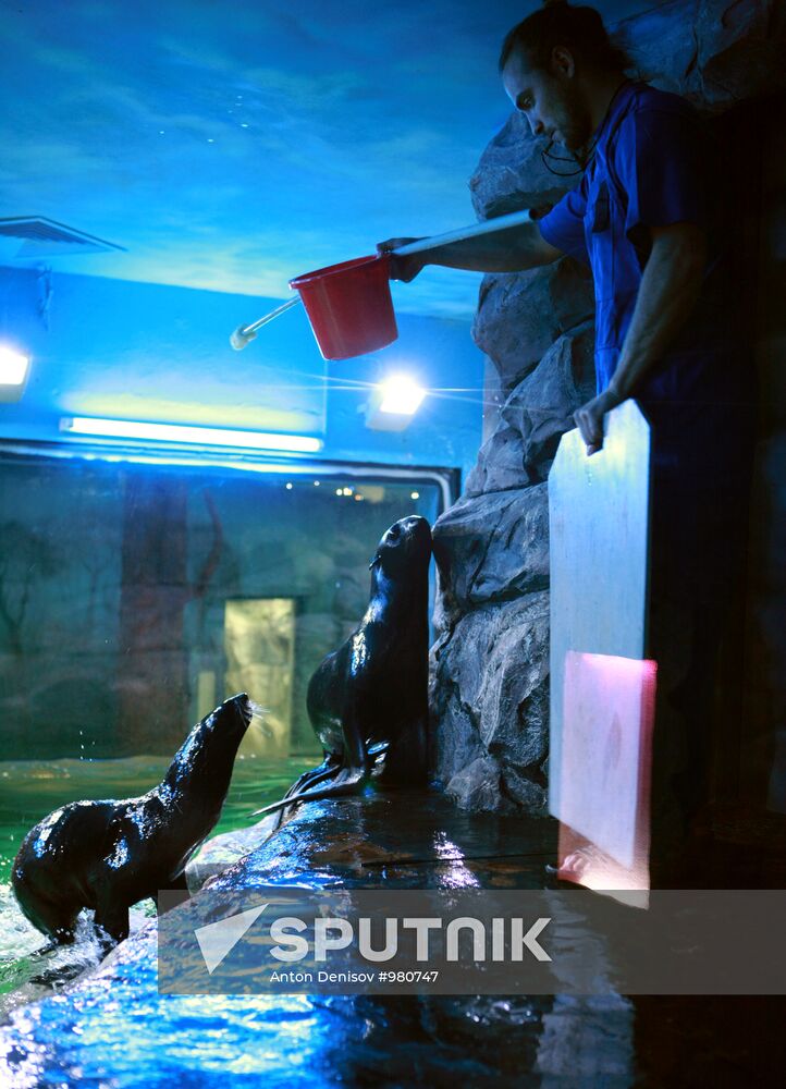 Moscow Aquarium opens