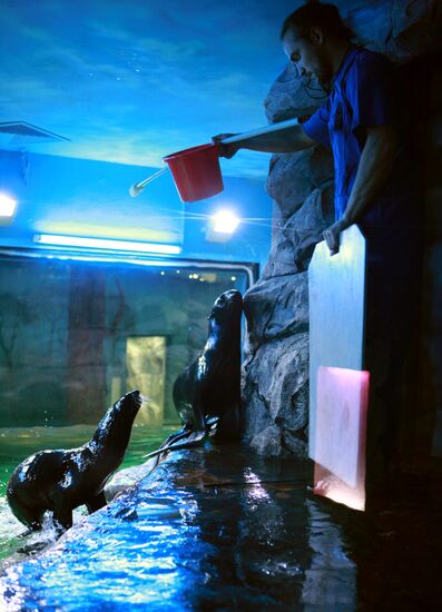 Moscow Aquarium opens