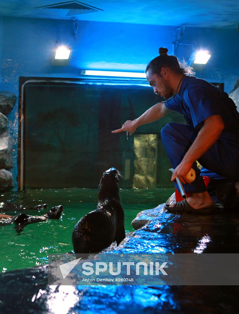 Moscow Aquarium opens