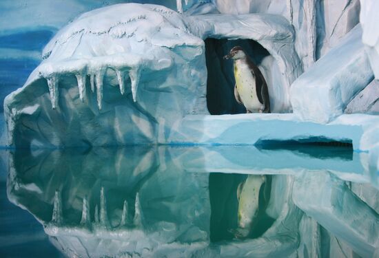 Moscow Aquarium opens