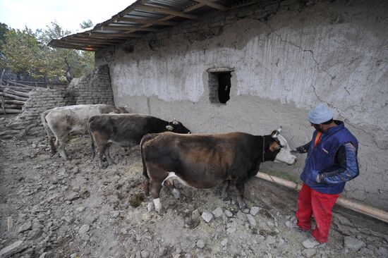 Quake aftermath in Turkey's Van province