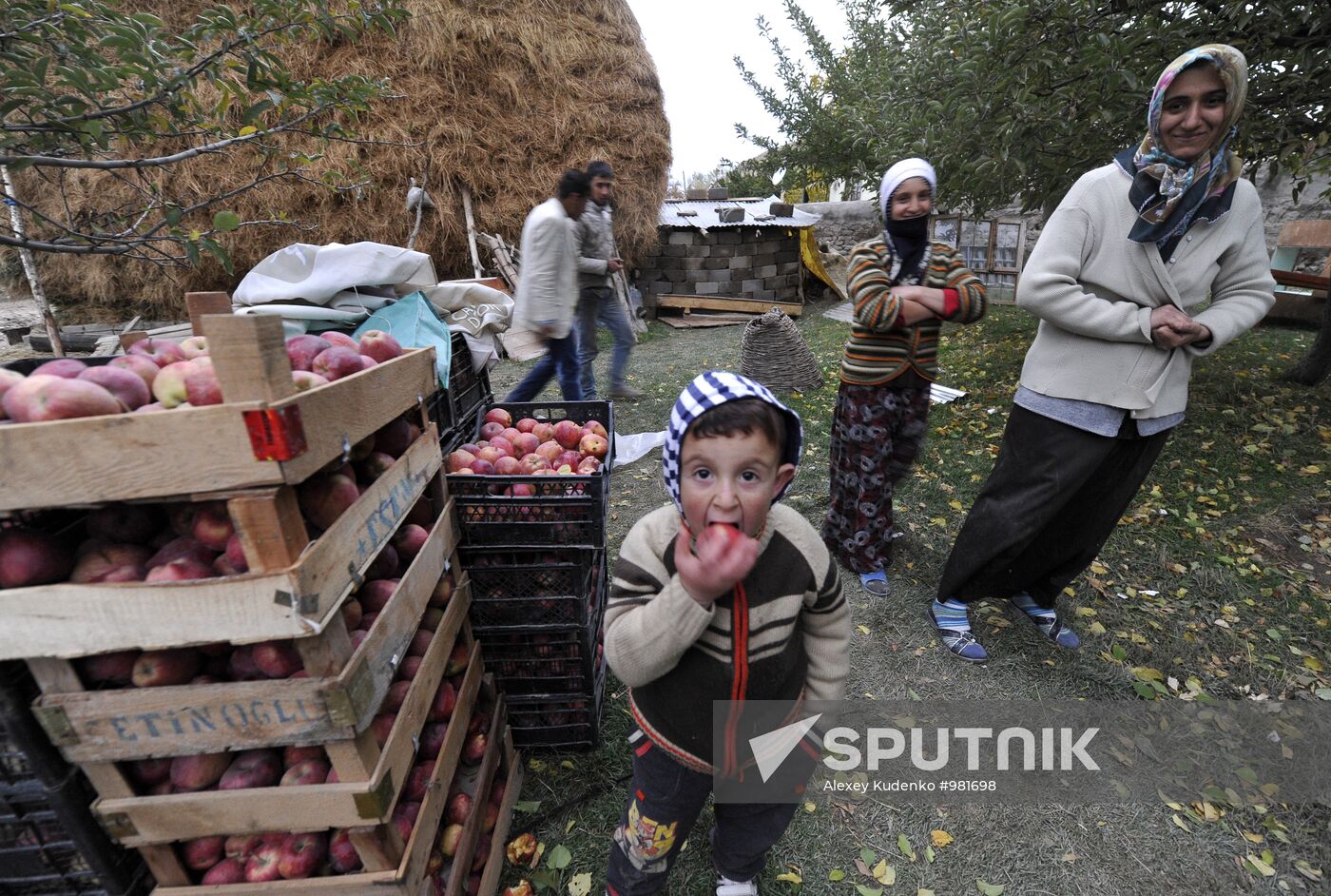 Quake aftermath in Turkey's Van province