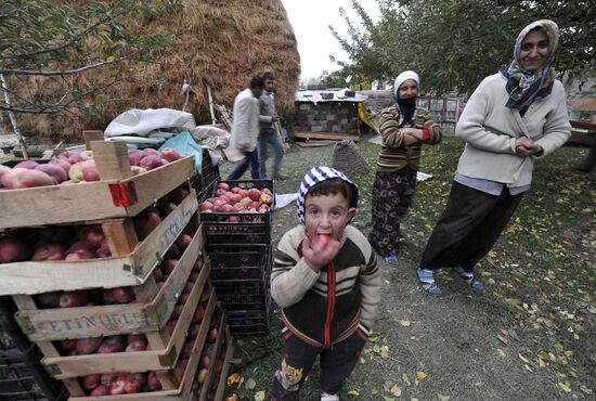 Quake aftermath in Turkey's Van province