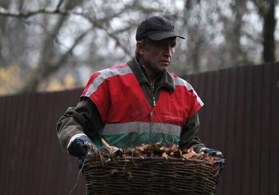 Cleaning up fallen leaves in Veliky Novgorod