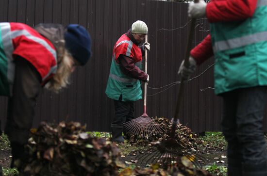 Cleaning up fallen leaves in Veliky Novgorod
