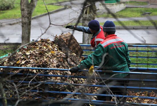 Cleaning up fallen leaves in Veliky Novgorod