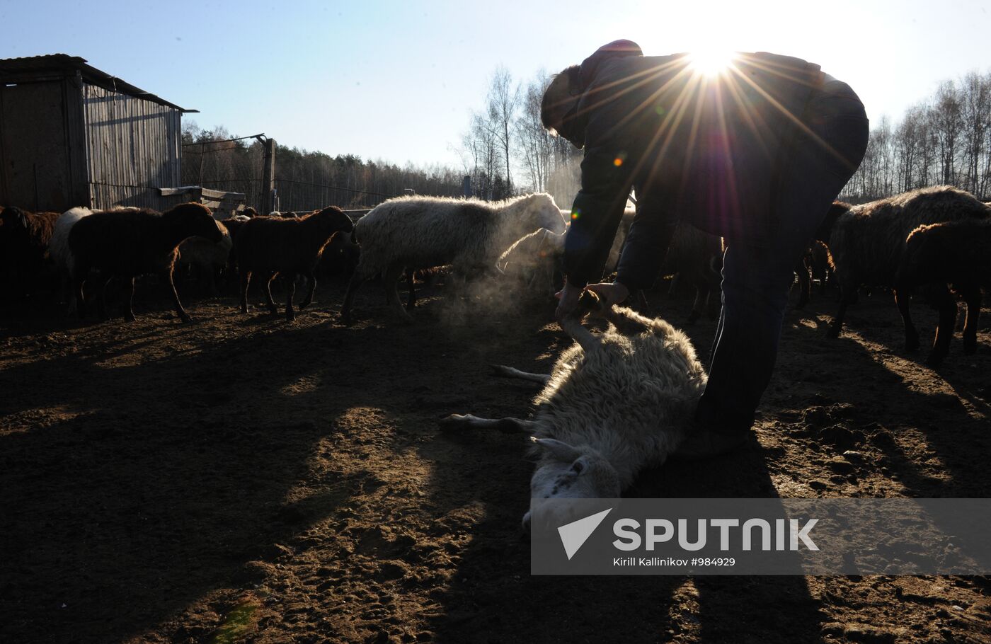 Russian Muslims celebrate Eid al-Adha in Moscow Region