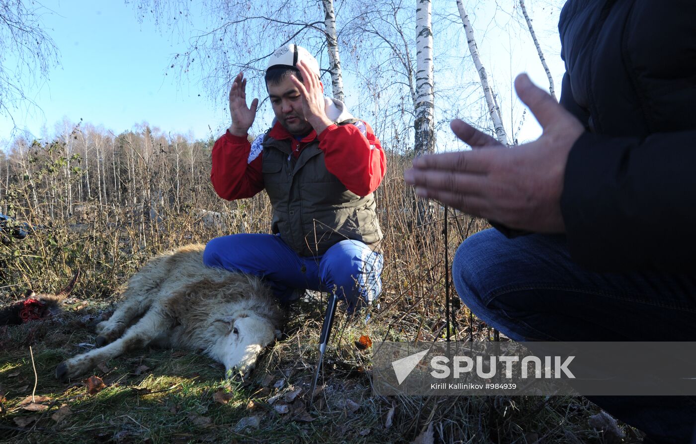 Russian Muslims celebrate Eid al-Adha in Moscow Region