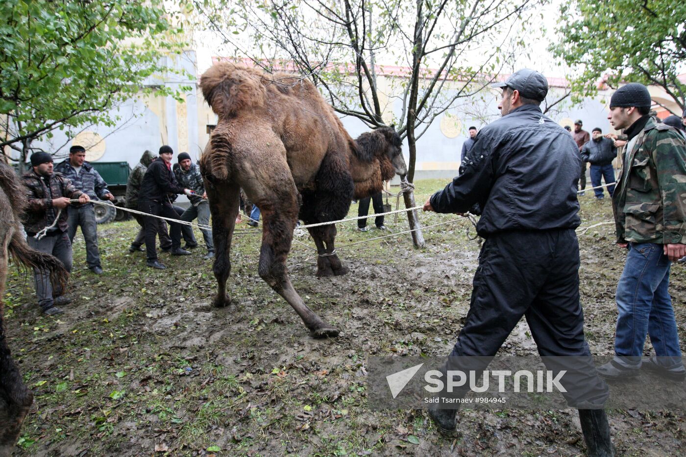 Muslims celebrate Eid al-Adha in Tsentoroy village, Chechnya