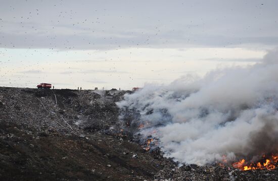 Household waste disposal site flames up in Leningrad Region