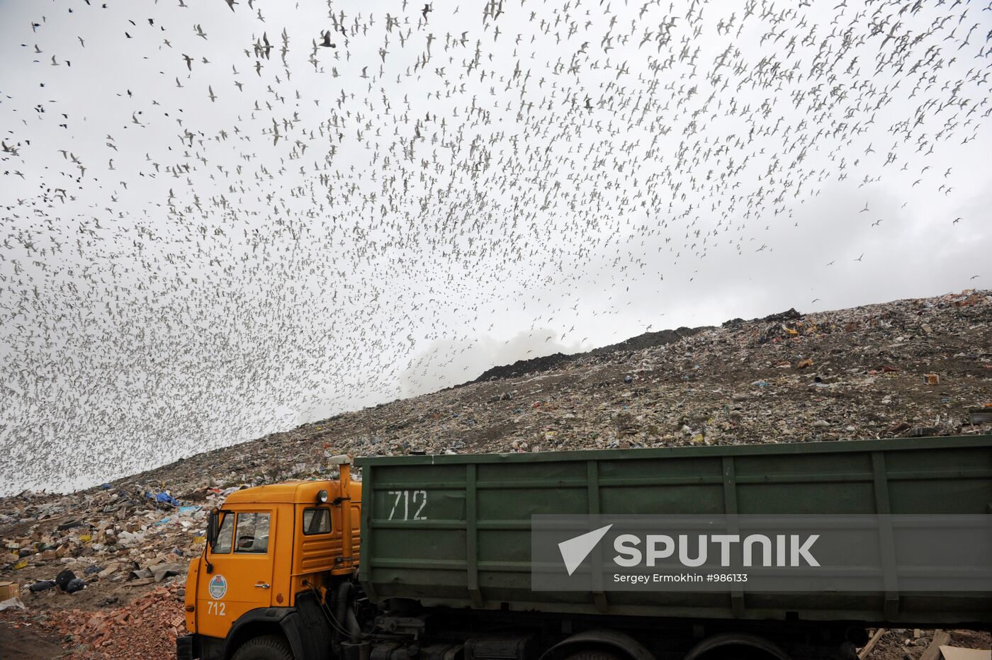 Household waste disposal site in Leningrad Region