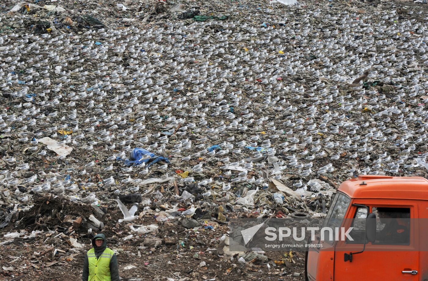 Household waste disposal site in Leningrad Region