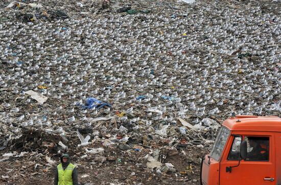 Household waste disposal site in Leningrad Region