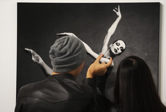 Exhibitions Dance in Vogue and "Ten Days Before..." launched
