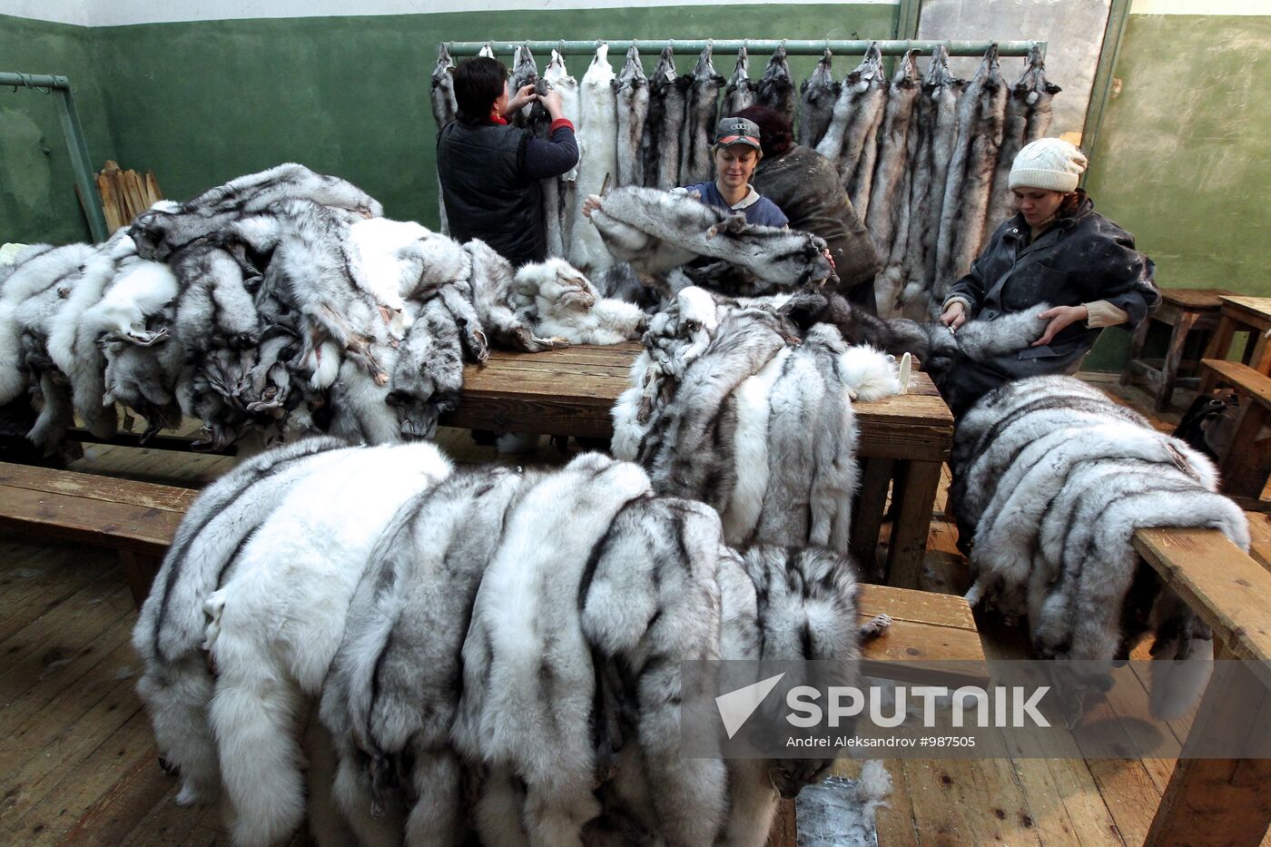 Bobruisk branch of Kalinkovichi animal farm