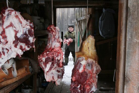 Villagers slaughter a pig before onset of winter
